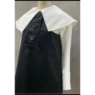 サカイ(sacai)の新品　NAOKO TAKAI高井直子ブラウス　casapicone(シャツ/ブラウス(長袖/七分))