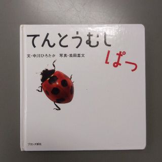 てんとうむしぱっ(絵本/児童書)