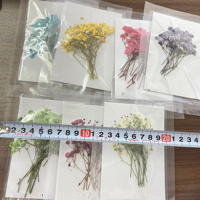 ドライフラワー　押し花　ハンドメイド　ネイル　パーツ　アート ハンドメイドの素材/材料(各種パーツ)の商品写真