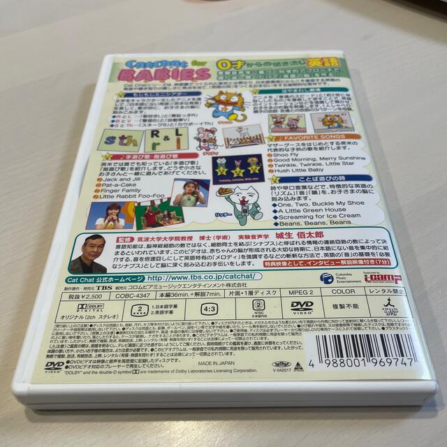 CatChat　for　BABIES DVD エンタメ/ホビーのDVD/ブルーレイ(キッズ/ファミリー)の商品写真