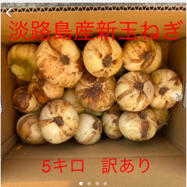 淡路島産新玉ねぎ　5キロ  訳あり 食品/飲料/酒の食品(野菜)の商品写真