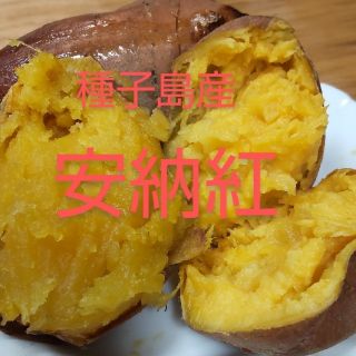 種子島産　安納紅2Sサイズ1kg(野菜)