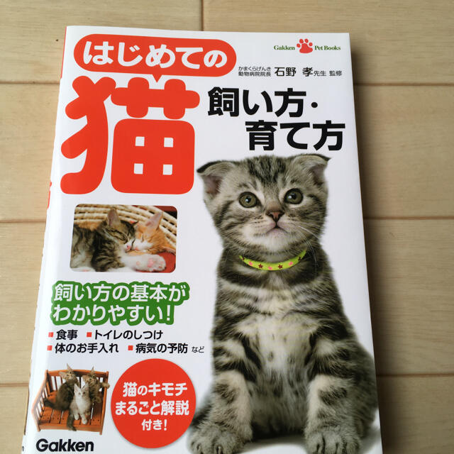 学研(ガッケン)の美品★はじめての猫　飼い方・育て方　石野孝【監修】 その他のペット用品(猫)の商品写真