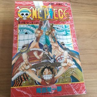 ＯＮＥ　ＰＩＥＣＥ 巻１５(その他)