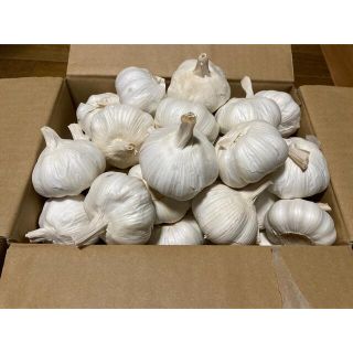 嘉定種 令和3年度産 ニンニク 中球(M球程度) 1kg にんにく(野菜)