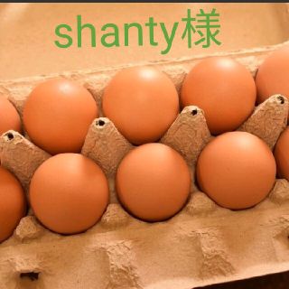 shanty様専用　訳ありたまご30個(野菜)