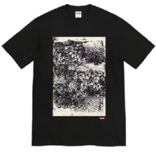 シュプリーム SUMO Tee グレー  L 新品未使用