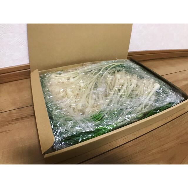 【洗浄】のびる　野蒜 ノビル　400g 以上 食品/飲料/酒の健康食品(その他)の商品写真