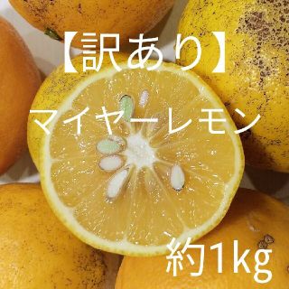 【訳あり】国産マイヤーレモン約1kg(フルーツ)