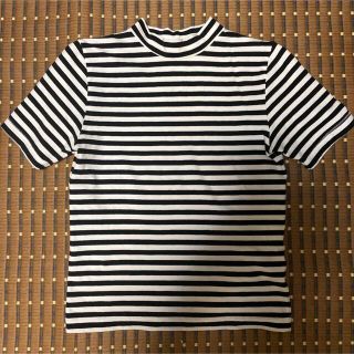 エモダ(EMODA)のEMODA ショート丈　ボーダー　半袖(Tシャツ(半袖/袖なし))