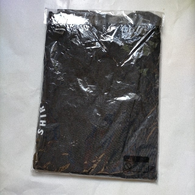 アップルマラソンTシャツ L 2