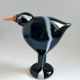 イッタラ(iittala)のBlack-Collared Swallow　　イッタラバード　オイバトイッカ(置物)