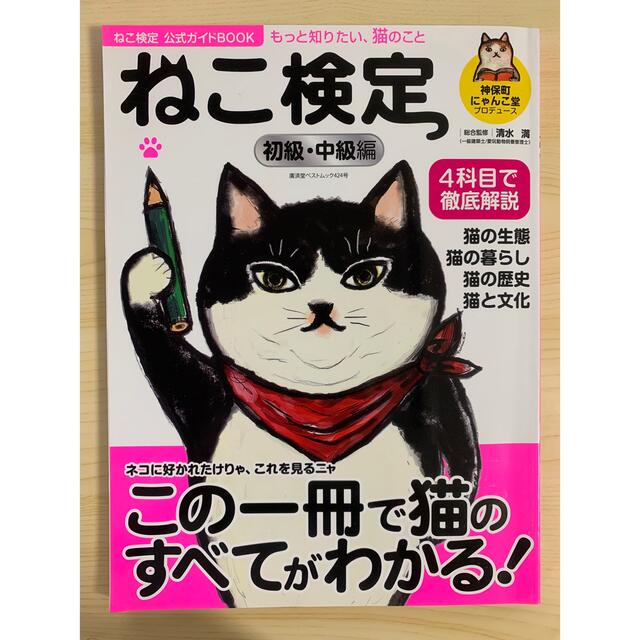 ねこ検定初級・中級編 ねこ検定公式ガイドＢＯＯＫ 増補改訂版 エンタメ/ホビーの本(住まい/暮らし/子育て)の商品写真