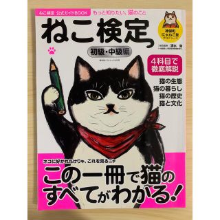 ねこ検定初級・中級編 ねこ検定公式ガイドＢＯＯＫ 増補改訂版(住まい/暮らし/子育て)