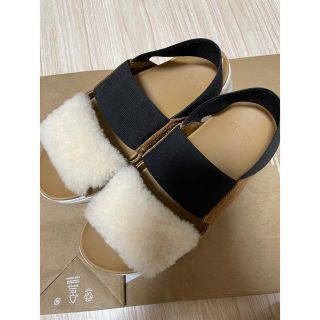 UGG - UGG シルバーレイク 22cm スポーツサンダルの通販 by saa's