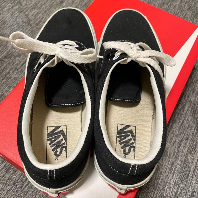 VANS(ヴァンズ)のVANS 限定スニーカー 24cm レディースの靴/シューズ(スニーカー)の商品写真