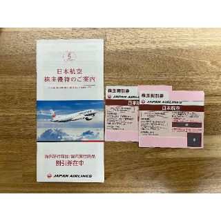 JAL 日本航空　株主優待券　2022年11月30日まで　2枚セット(その他)