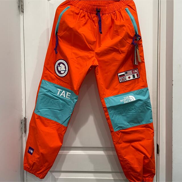 シュプリーム ×ノースフェイス THE NORTH FACE  Trans Antarctica Expedition Pant トランスアンタークティカエクスペディションロングパンツ メンズ S