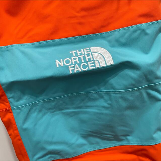 その他The north face Trans antarctica pants