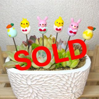 ハンドメイド　ガーデンピック　イースターピック　多肉植物(その他)