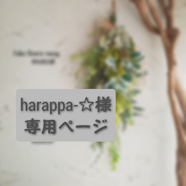 ＊harappa-☆様専用ページ ハンドメイドのフラワー/ガーデン(その他)の商品写真