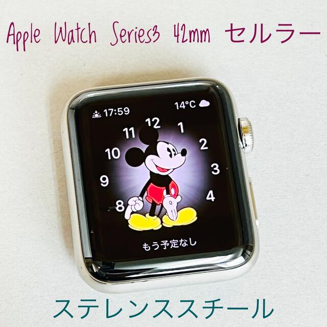 W234 Apple Watch Series3 42mm　ステレンススチール