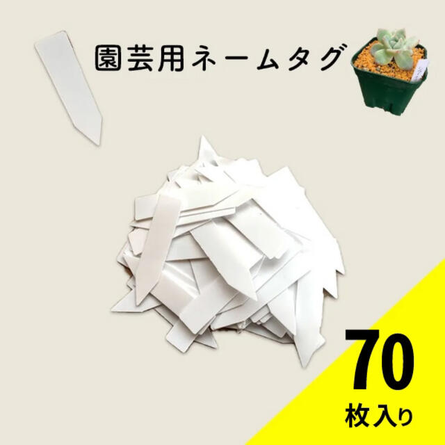 園芸ラベル　70枚入り　白色 ハンドメイドのフラワー/ガーデン(プランター)の商品写真