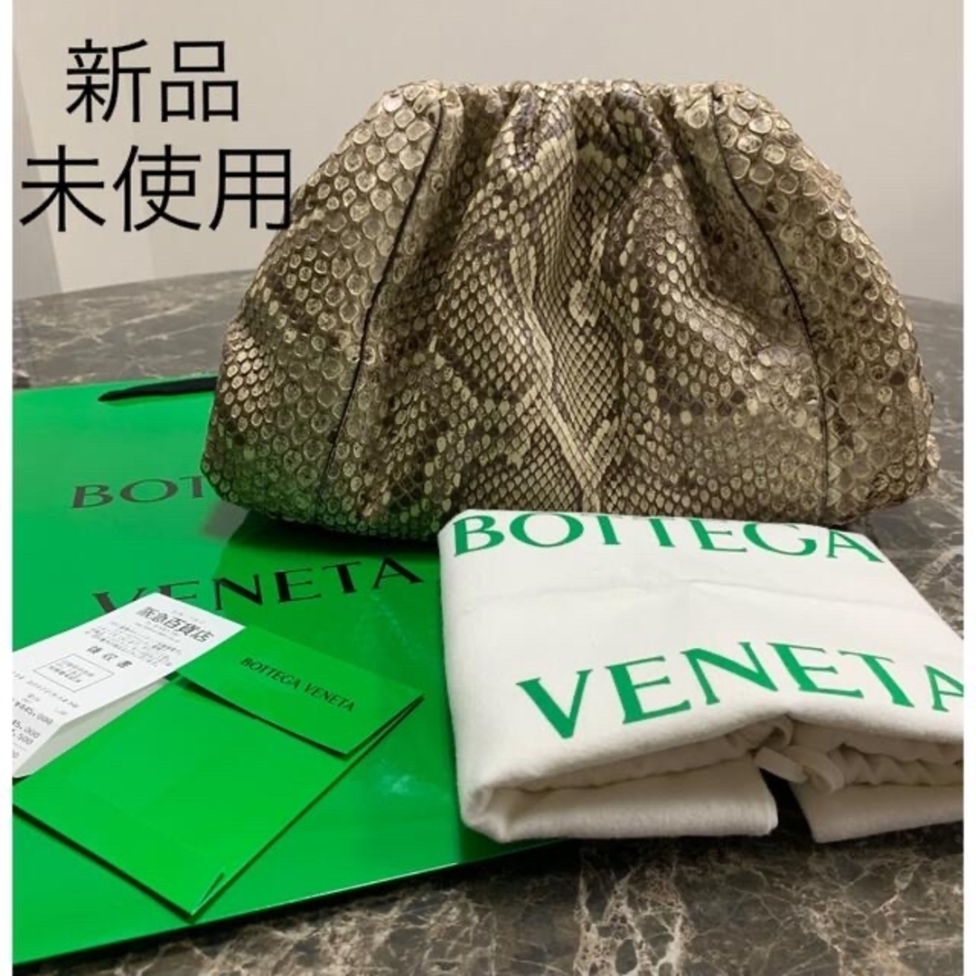 [新品未使用] BOTTEGA VENETA ザ・ポーチ　パイソン