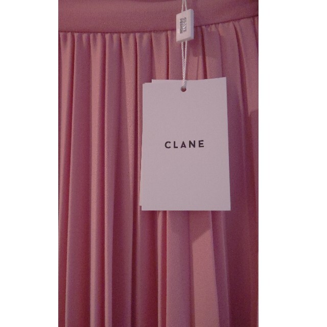 CLANEプリーツスカート 1