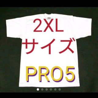 2XL PRO5 プロファイブ 無地 プレーン Tシャツ ホワイト 白 USA(Tシャツ/カットソー(半袖/袖なし))