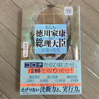 もしも徳川家康が総理大臣になったら(文学/小説)