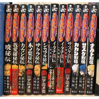 ナルト小説　秘伝・真伝・烈伝１２冊セット(文学/小説)