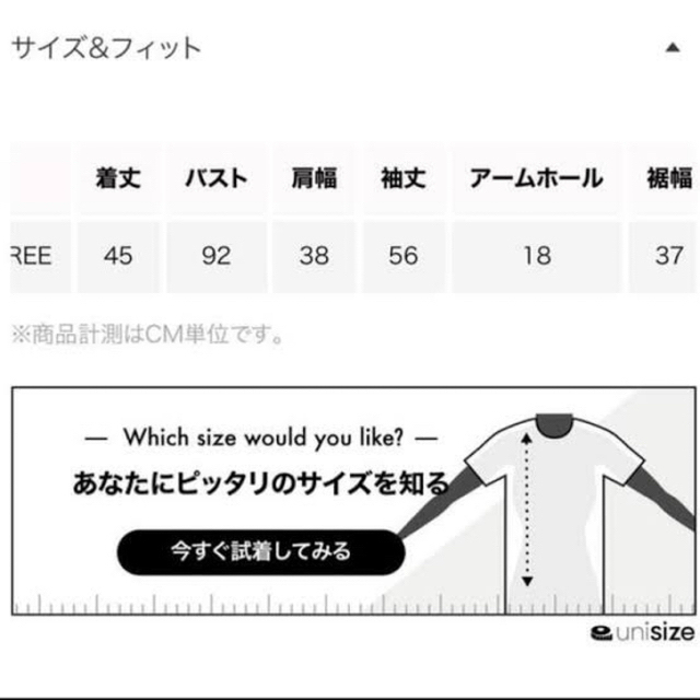 最終価格searoomlynn/ScallopカラーShell KNITトップス