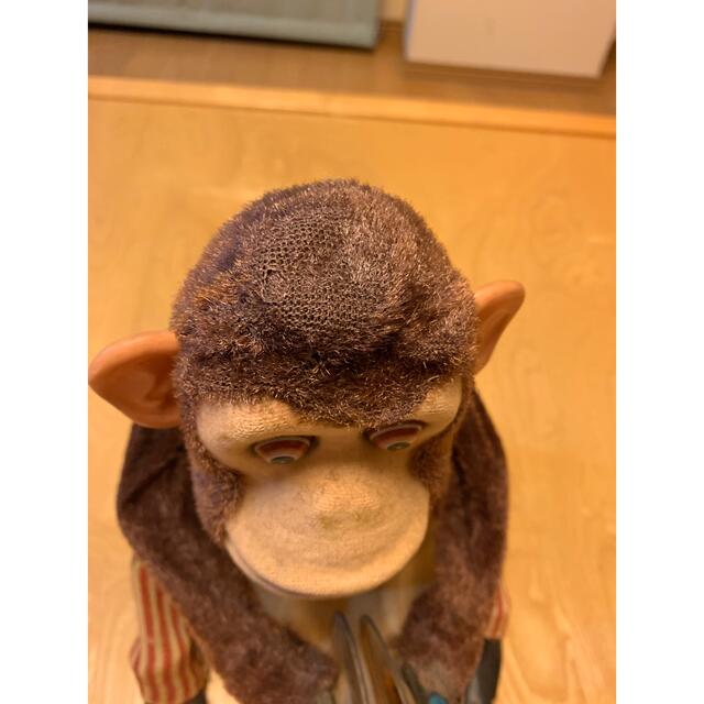 シンバルモンキー シンバルモンキー
