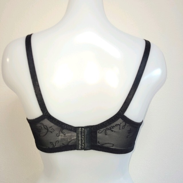 シャンデールブラジャー F95 | hospitaldeyumbo.gov.co