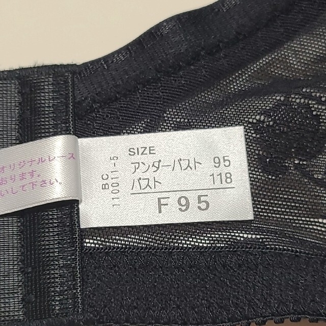 シャンデールブラジャー F95 | hospitaldeyumbo.gov.co