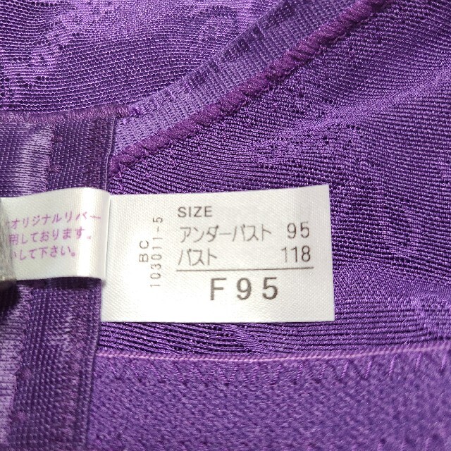 シャンデールブラジャー F95 | hospitaldeyumbo.gov.co