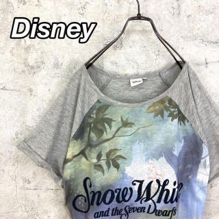 ディズニー(Disney)の希少 90s ディズニー Tシャツ ビッグプリント 白雪姫(Tシャツ(半袖/袖なし))