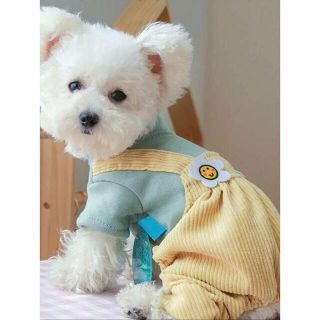 つなぎ風でかわいいペット服(犬)