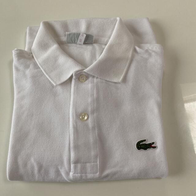 LACOSTE(ラコステ)のLACOSTE  レディース長袖ポロシャツ レディースのトップス(ポロシャツ)の商品写真