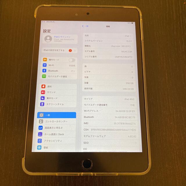 PC/タブレットiPad mini 5 256GB WiFi+Cellular