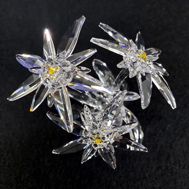 SWAROVSKI(スワロフスキー)の美品◆スワロフスキー　エーデルワイス 2020 SCS会員限定品 5493708 インテリア/住まい/日用品のインテリア小物(置物)の商品写真