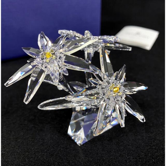 SWAROVSKI(スワロフスキー)の美品◆スワロフスキー　エーデルワイス 2020 SCS会員限定品 5493708 インテリア/住まい/日用品のインテリア小物(置物)の商品写真