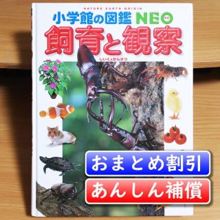 小学館の図鑑NEO　飼育と観察／筒井 学【あんしん補償】(絵本/児童書)