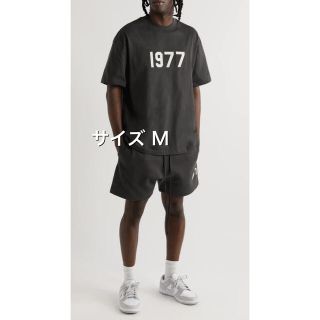 フィアオブゴッド(FEAR OF GOD)のエッセンシャルズ 1977 ブラック Tシャツ チャコール グレー M(Tシャツ/カットソー(半袖/袖なし))