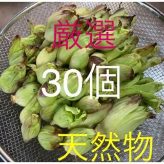 ふきのとう　フキノトウ  岩手県産(野菜)