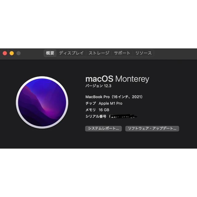 Mac (Apple)(マック)の（kororin様専用)M1 Pro MacBook Pro16 2021 スマホ/家電/カメラのPC/タブレット(ノートPC)の商品写真