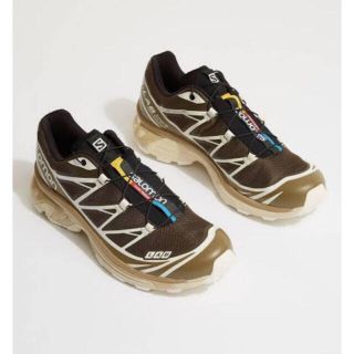 サロモン(SALOMON)のsalomon xt-6 advanced uk10 ブラウン(スニーカー)