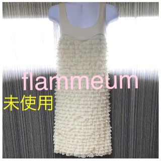 フラミューム(Flammeum)のFlammeum フラミューム　フリル  シフォン　ワンピ シルク混　(ひざ丈ワンピース)