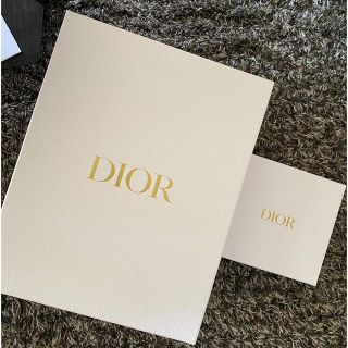 クリスチャンディオール(Christian Dior)のChristian Dior 空箱(ショップ袋)